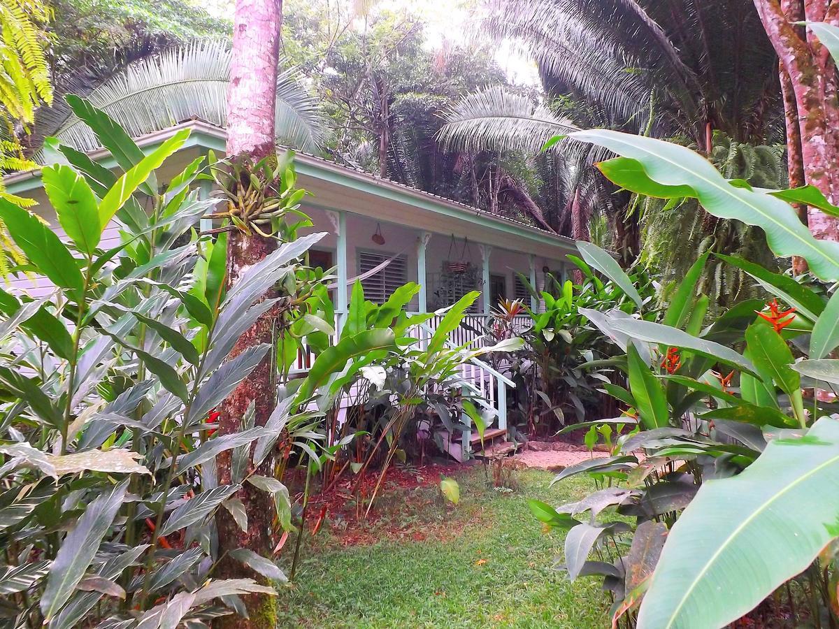 Hickatee Cottages Punta Gorda Buitenkant foto