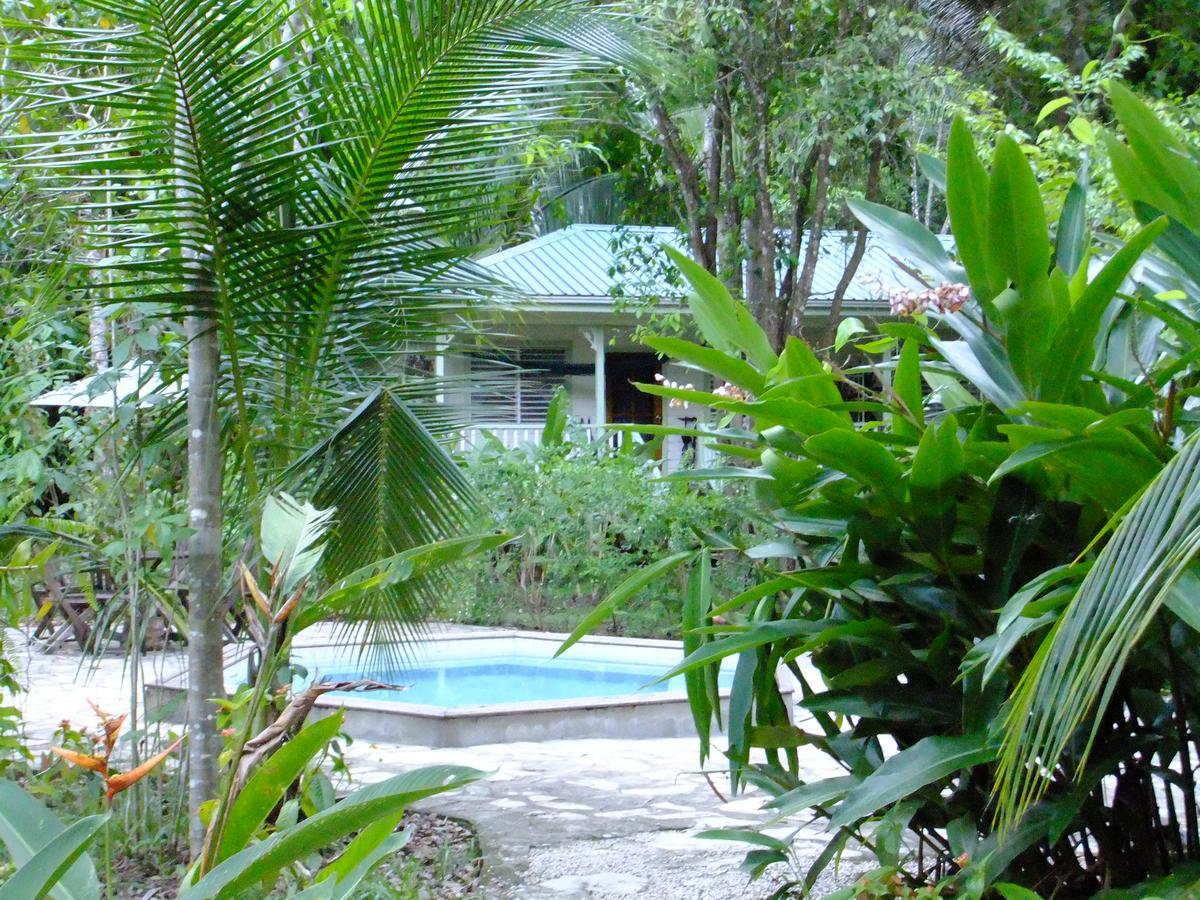 Hickatee Cottages Punta Gorda Buitenkant foto