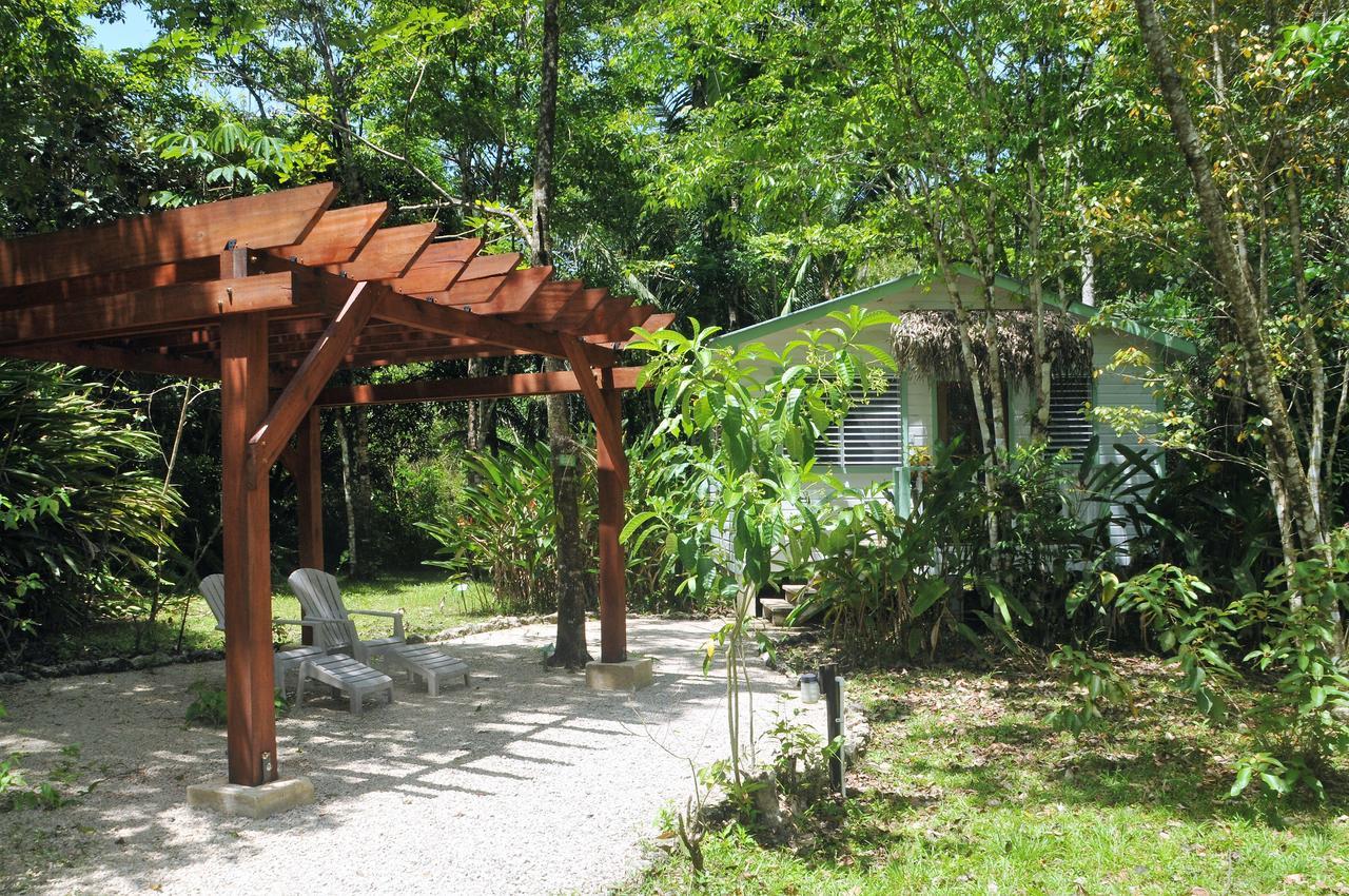 Hickatee Cottages Punta Gorda Buitenkant foto