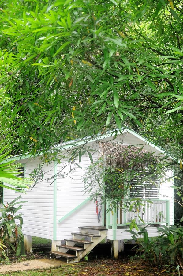 Hickatee Cottages Punta Gorda Buitenkant foto