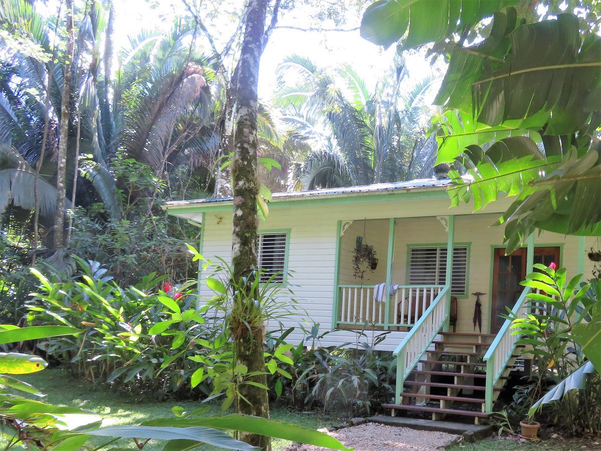 Hickatee Cottages Punta Gorda Buitenkant foto